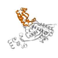 The deposited structure of PDB entry 1dqa contains 4 copies of SCOP domain 55036 (NAD-binding domain of HMG-CoA reductase) in 3-hydroxy-3-methylglutaryl-coenzyme A reductase. Showing 1 copy in chain A.