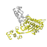 The deposited structure of PDB entry 1dqa contains 4 copies of SCOP domain 56543 (Substrate-binding domain of HMG-CoA reductase) in 3-hydroxy-3-methylglutaryl-coenzyme A reductase. Showing 1 copy in chain A.