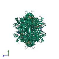 Homo tetrameric assembly 1 of PDB entry 1dqa coloured by chemically distinct molecules, side view.