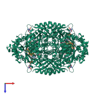 Homo tetrameric assembly 1 of PDB entry 1dqa coloured by chemically distinct molecules, top view.