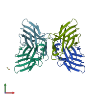 PDB entry 1dqt coloured by chain, front view.