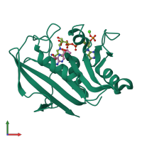 PDB entry 1dr1 coloured by chain, front view.