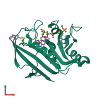 PDB entry 1dr6 coloured by chain, front view.