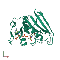 PDB entry 1drh coloured by chain, front view.