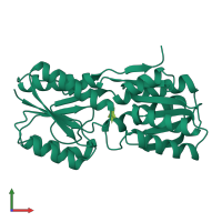 PDB entry 1drk coloured by chain, front view.