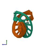 PDB entry 1drr coloured by chain, ensemble of 10 models, side view.