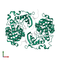 Casein kinase II subunit alpha in PDB entry 1ds5, assembly 1, front view.