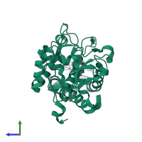 Cytochrome c peroxidase, mitochondrial in PDB entry 1dse, assembly 1, side view.