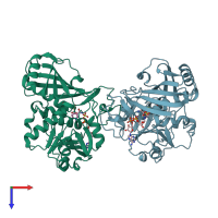 PDB entry 1dss coloured by chain, top view.