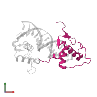 Retinoic acid receptor RXR-alpha in PDB entry 1dsz, assembly 1, front view.