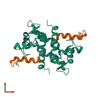 Hetero tetrameric assembly 1 of PDB entry 1dt7 coloured by chemically distinct molecules, front view.