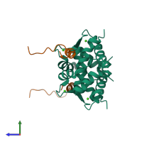 Hetero tetrameric assembly 1 of PDB entry 1dt7 coloured by chemically distinct molecules, side view.