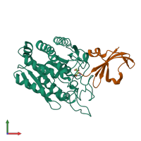 PDB entry 1dtd coloured by chain, front view.