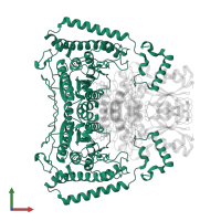 2-oxoisovalerate dehydrogenase subunit alpha, mitochondrial in PDB entry 1dtw, assembly 1, front view.