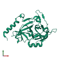 PDB entry 1dua coloured by chain, front view.
