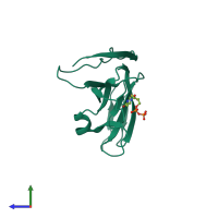 PDB entry 1dud coloured by chain, side view.