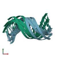 PDB entry 1duf coloured by chain, ensemble of 5 models, front view.