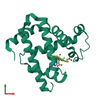 PDB entry 1duo coloured by chain, front view.