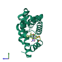 PDB entry 1duo coloured by chain, side view.