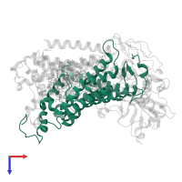 Reaction center protein L chain in PDB entry 1dv3, assembly 1, top view.