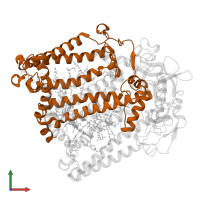 Reaction center protein M chain in PDB entry 1dv3, assembly 1, front view.