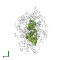 BACTERIOCHLOROPHYLL A in PDB entry 1dv3, assembly 1, side view.