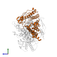 Reaction center protein M chain in PDB entry 1dv6, assembly 2, side view.