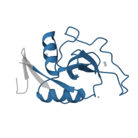 The deposited structure of PDB entry 1dv8 contains 1 copy of Pfam domain PF00059 (Lectin C-type domain) in Asialoglycoprotein receptor 1. Showing 1 copy in chain A.