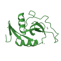 The deposited structure of PDB entry 1dv8 contains 1 copy of SCOP domain 56437 (C-type lectin domain) in Asialoglycoprotein receptor 1. Showing 1 copy in chain A.