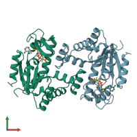 PDB entry 1dvr coloured by chain, front view.