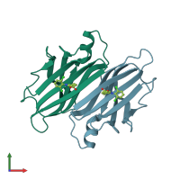 PDB entry 1dvx coloured by chain, front view.