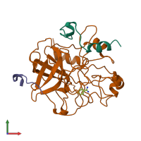 PDB entry 1dwb coloured by chain, front view.