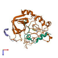 PDB entry 1dwb coloured by chain, top view.
