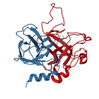 The deposited structure of PDB entry 1dwc contains 2 copies of CATH domain 2.40.10.10 (Thrombin, subunit H) in Thrombin heavy chain. Showing 2 copies in chain B [auth H].