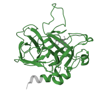 The deposited structure of PDB entry 1dwc contains 1 copy of Pfam domain PF00089 (Trypsin) in Thrombin heavy chain. Showing 1 copy in chain B [auth H].