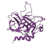 The deposited structure of PDB entry 1dwc contains 1 copy of SCOP domain 50514 (Eukaryotic proteases) in Thrombin heavy chain. Showing 1 copy in chain B [auth H].