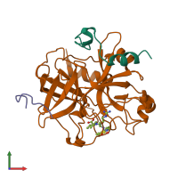 PDB entry 1dwc coloured by chain, front view.