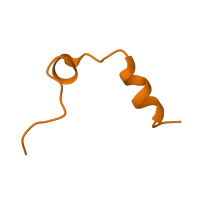 The deposited structure of PDB entry 1dwd contains 1 copy of Pfam domain PF09396 (Thrombin light chain) in Thrombin light chain. Showing 1 copy in chain A [auth L].