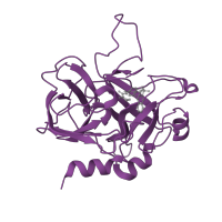 The deposited structure of PDB entry 1dwd contains 1 copy of SCOP domain 50514 (Eukaryotic proteases) in Thrombin heavy chain. Showing 1 copy in chain B [auth H].