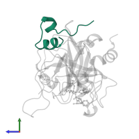 Thrombin light chain in PDB entry 1dwe, assembly 1, side view.
