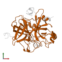 Thrombin heavy chain in PDB entry 1dwe, assembly 1, front view.