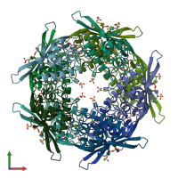 PDB entry 1dwk coloured by chain, front view.