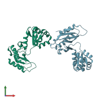 PDB entry 1dwu coloured by chain, front view.