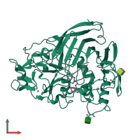 PDB entry 1dy4 coloured by chain, front view.