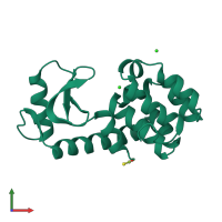PDB entry 1dye coloured by chain, front view.