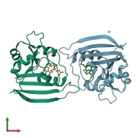 PDB entry 1dyh coloured by chain, front view.