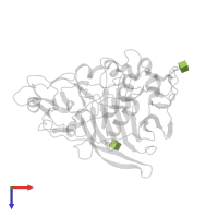 2-acetamido-2-deoxy-beta-D-glucopyranose in PDB entry 1dym, assembly 1, top view.