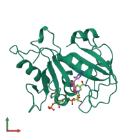 PDB entry 1dyr coloured by chain, front view.