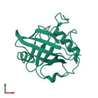 Peptidyl-prolyl cis-trans isomerase 3 in PDB entry 1dyw, assembly 1, front view.