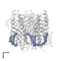 2,3-DI-O-PHYTANLY-3-SN-GLYCERO-1-PHOSPHORYL-3'-SN-GLYCEROL-1'-PHOSPHATE in PDB entry 1dze, assembly 1, top view.